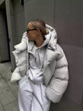 Tineit Ellery Oversized Puffer Jacket