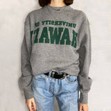 Tineit 2024 Fall Fashion University Of Hawaii Vintage Sweatshirt