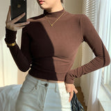 thanksgiving outfit Tineit Double Sided Fleece Turtleneck Base Shirt Women Casual Slim Solid Long Sleeve Knitted Pullovers Lady Autumn Chic Thick Warm Tops