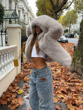 Tineit Winter Warm Faux Fur Fluffy Long Sleeved Coats Women's Solid Color Loose Hooded Short Jackets 2024 Fashion Ladies Casual Outwear