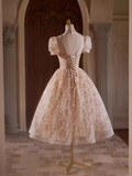 Tineit Elegant Ball Gown High Neckline Pink Tulle Party Dress Lace Homecoming Dresses (PRE-ORDER)