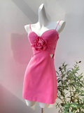 Tineit Elegant A Line Straps Pink Birthday Dress Short Homecoming Dresses (PRE-ORDER)