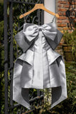 Tineit Simple A Line Straps Short Birthday Outfits Gray Homecoming Dress (PRE-ORDER)