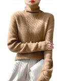 thanksgiving outfit Tineit Casual Simple Knitted Solid Turtleneck Women Korean Slim Fit Warm Soft Pullover Sweaters Female Autumn Chic Daily Knitwear