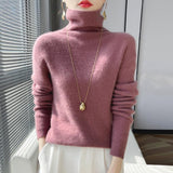 thanksgiving outfit Tineit Casual Simple Knitted Solid Turtleneck Women Korean Slim Fit Warm Soft Pullover Sweaters Female Autumn Chic Daily Knitwear