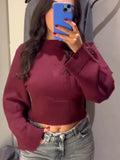 Tineit Knitted Slim Short Sweaters Women Pullover Elegant O-neck Long Sleeve Top Jumper Female 2025 Spring New Solid Casual Sweater Hot