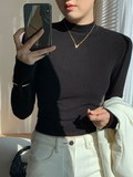 Tineit Slim Basic Plush Pullover Women High Collar Warm Thick Solid All-match Long Sleeve Tops Sweater 2025 Autumn Casual Lady Jumper