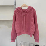 thanksgiving outfit Tineit Autumn Casual Knitted Cardigan Women Korean Chic Solid Long Sleeve Zipper Sweater Fashion All Match Preppy O Neck Outwear