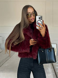 Tineit Luxury Brown Women's Fluffy Faux Fur Warm Short Coat Chic Lapel Collar Long Sleeve Furry Jacket Winter 2024 Lady High Streetwear